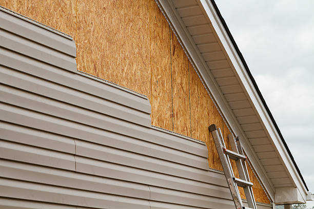 Best Custom Trim and Detailing for Siding  in Meyers, CA